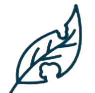 logo-bayer