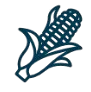 logo-bayer
